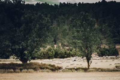 IMG 0128 IMG 0128