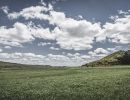 IMG 8955