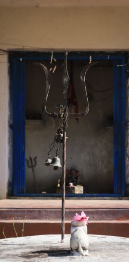 IMG 0333