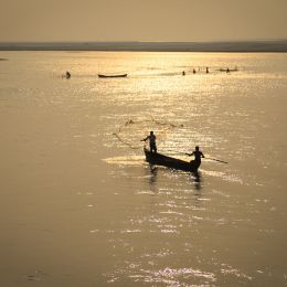 IMG 0480 IMG 0480
