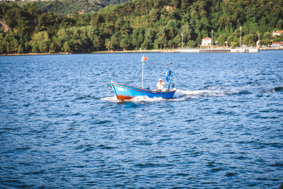 IMG 0705 IMG 0705