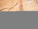 IMG 1102