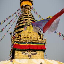 IMG 3300 IMG 3300