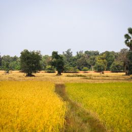 IMG 0372 IMG 0372