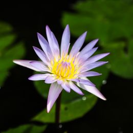 IMG 0396 IMG 0396