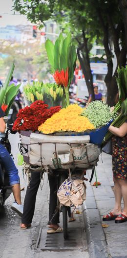 IMG 9256 IMG 9256