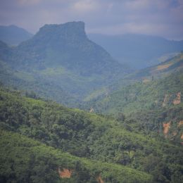 IMG 9606