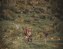 IMG 8770