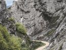 IMG 8824