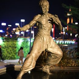 IMG 8972 IMG 8972