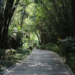 IMG 9045 IMG 9045