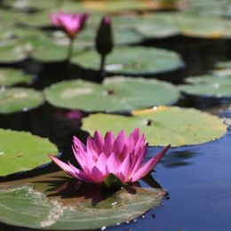 IMG 9059 IMG 9059